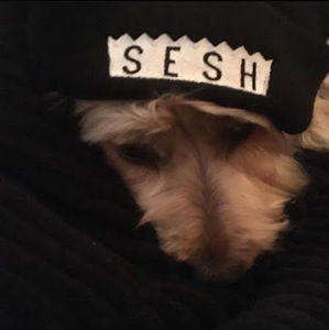 Meet your Posher, Sesh